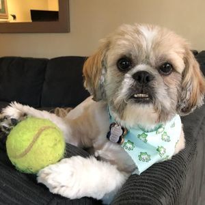 Meet your Posher, William